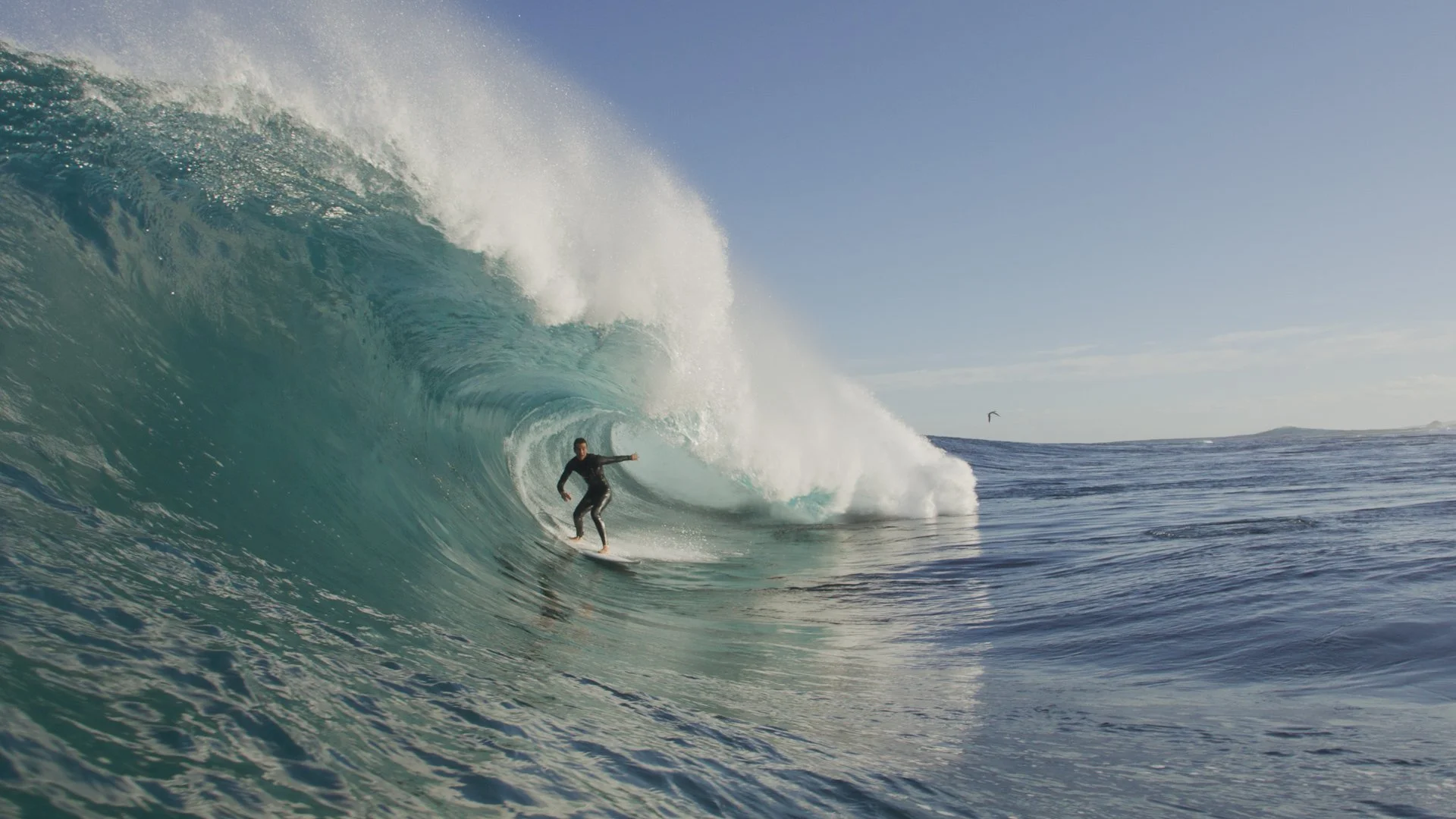 Alex Crews Shapes Or Die — Inherent Bummer